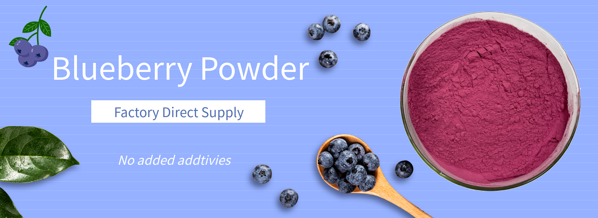 Blueberry Powder (2)