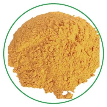 No additives 100% natural organic carrot juice powder