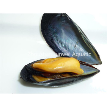 Fresh frozen blue mussel