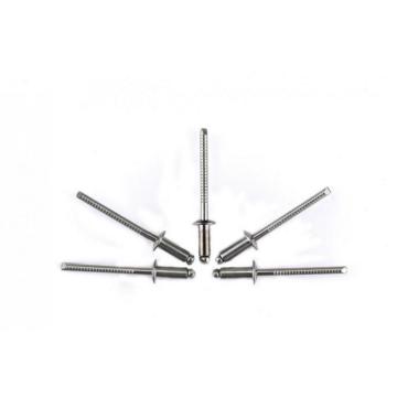 Stainless steel dome head open end blind rivets