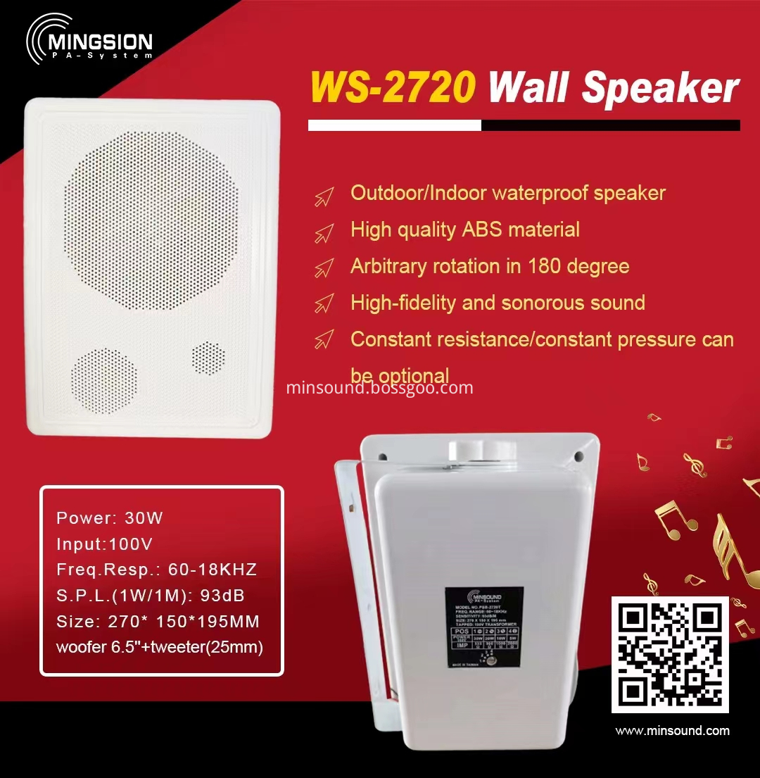 Wall Speaker