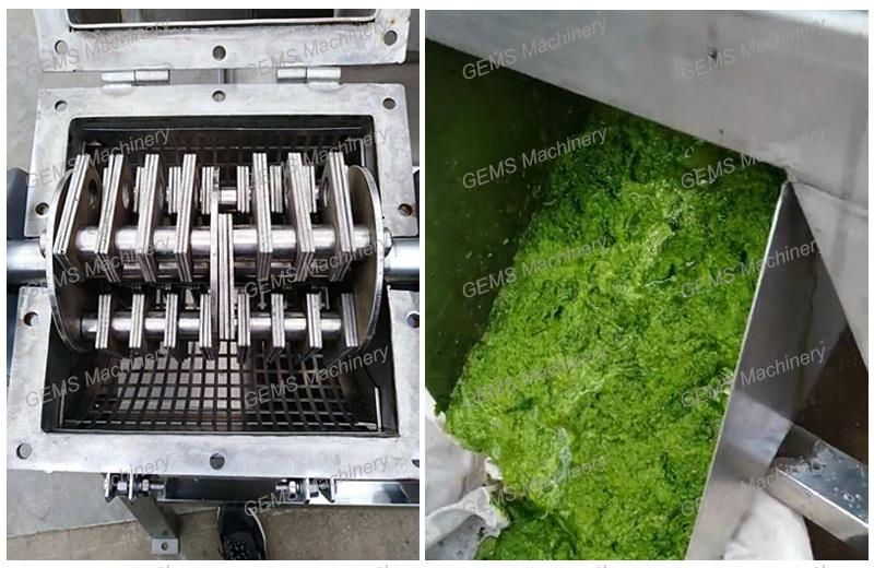 Fruit Vegetable Crusher 2