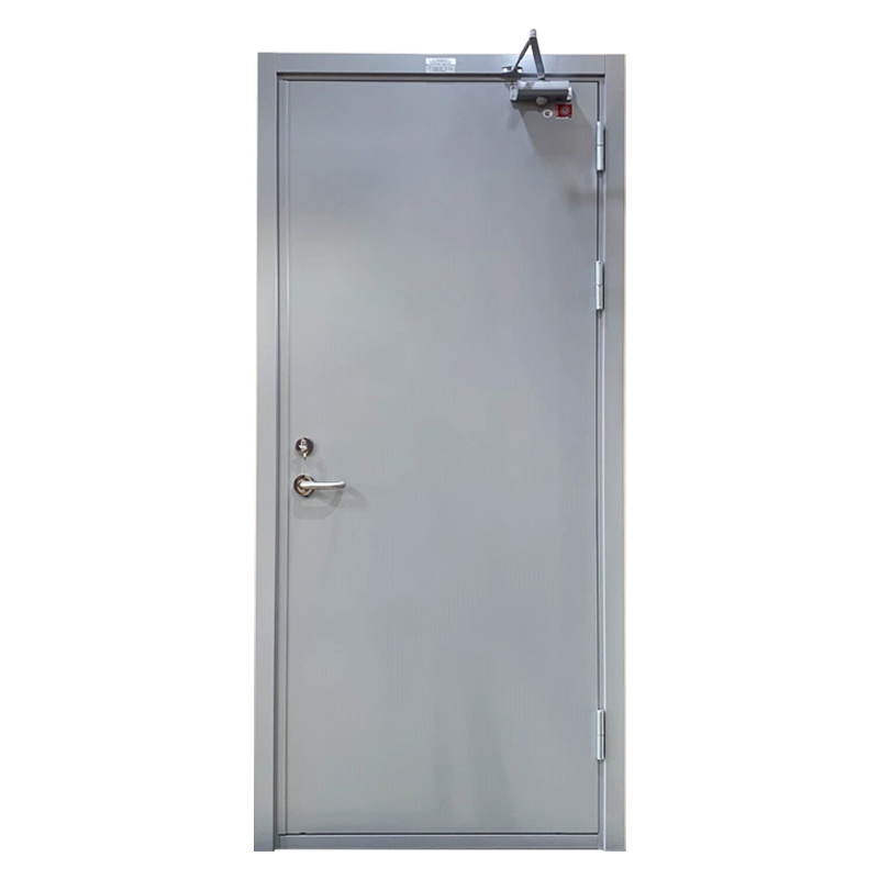 Powder Coated Steel Swing Door 15