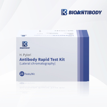 H. Pylori Antibody Rapid Test Kit (Lateral chromatography)