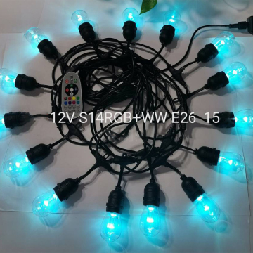 5V G40 RGBW 25 lights string