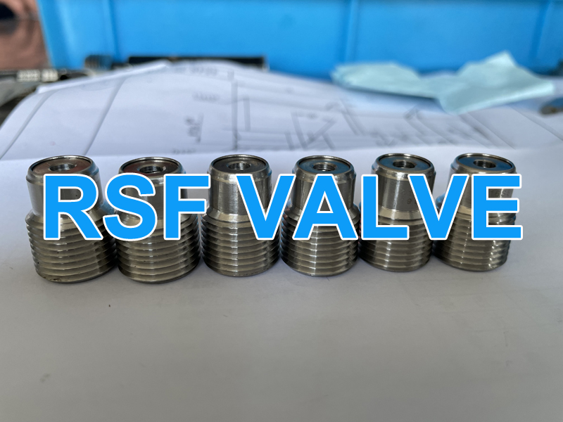 5 Check Valve Of Api 6d Ball Valve Rsf Valve Jpg