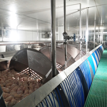 screw pre-chilling machinery of chicken slaughtering machine