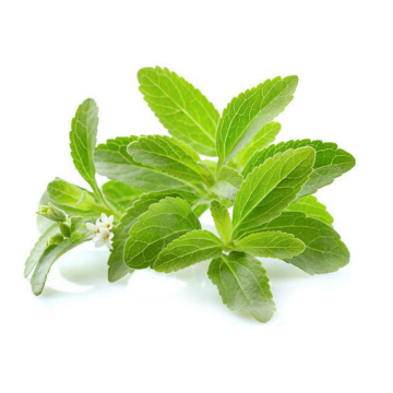 Stevia Leaf Extract Stevia Rebaudiana 98%