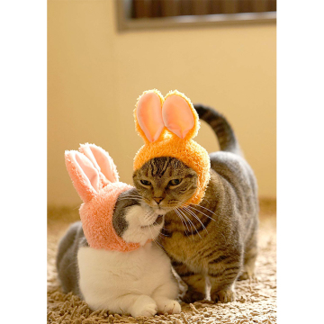 Cute Soft Comfortable Rabbit Dog Cat Pet Hat