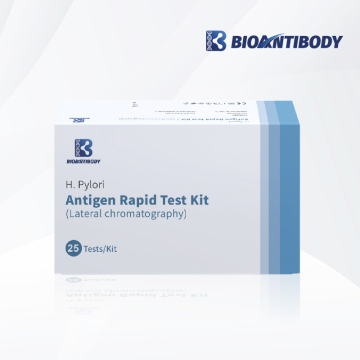 H.Pylori Antigen Rapid test kit (Lateral chromatography)