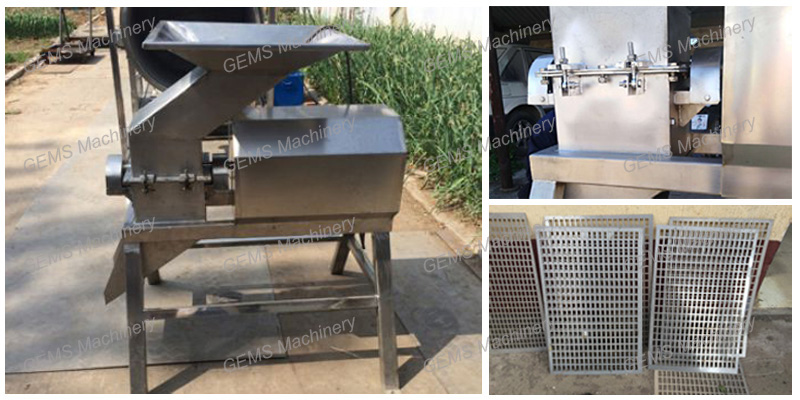 Fruit Vegetable Crusher 1