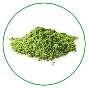 Organic high quality kale extract powder kale powder
