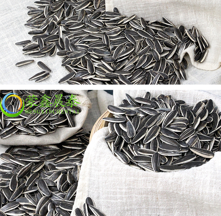 wholesale sunflower seeds