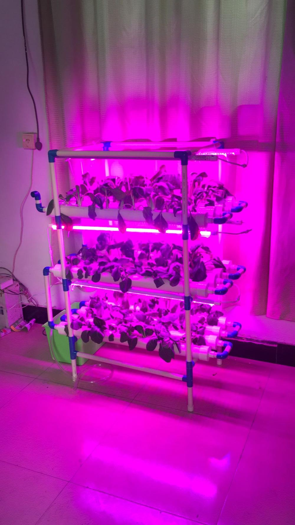 Small Kit hydroponic system