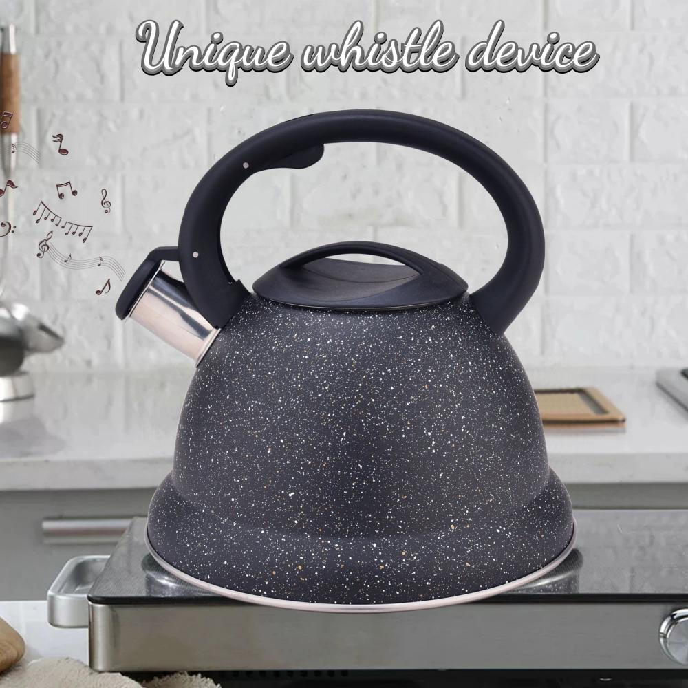 Black Durable Color Stainless Steel Whistling Water Kettle