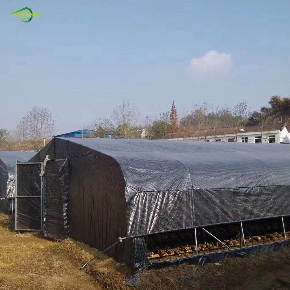 Black Transparent Greenhouse Cover