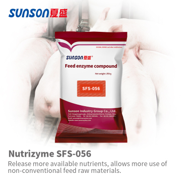 Animal feed additive enzymes for swine SFS-056