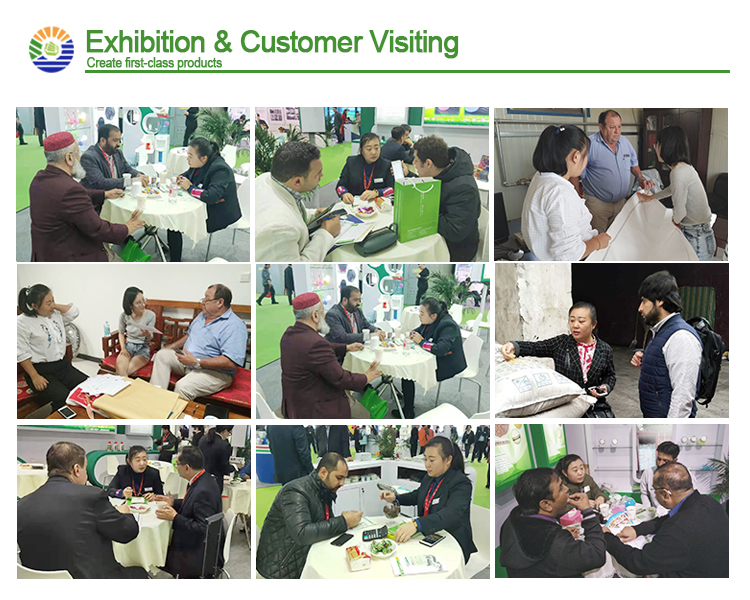 Exhibition And Customer Visiting