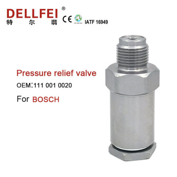 New Fuel Rail Pressure Relief Limiter Valve 1110010020