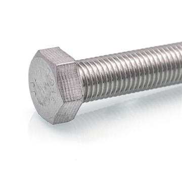 Ss Hex Nut And Hex Head Bolt
