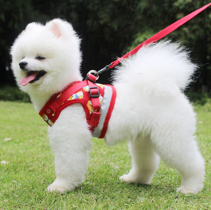 Pet Harness For Dogs