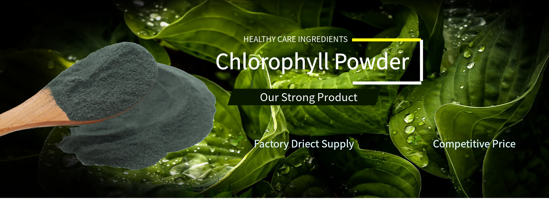 pure chlorophyll