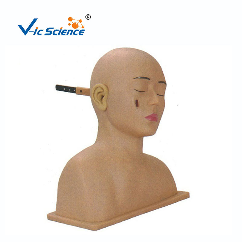 Advanced Ear Diagnostic Simulator