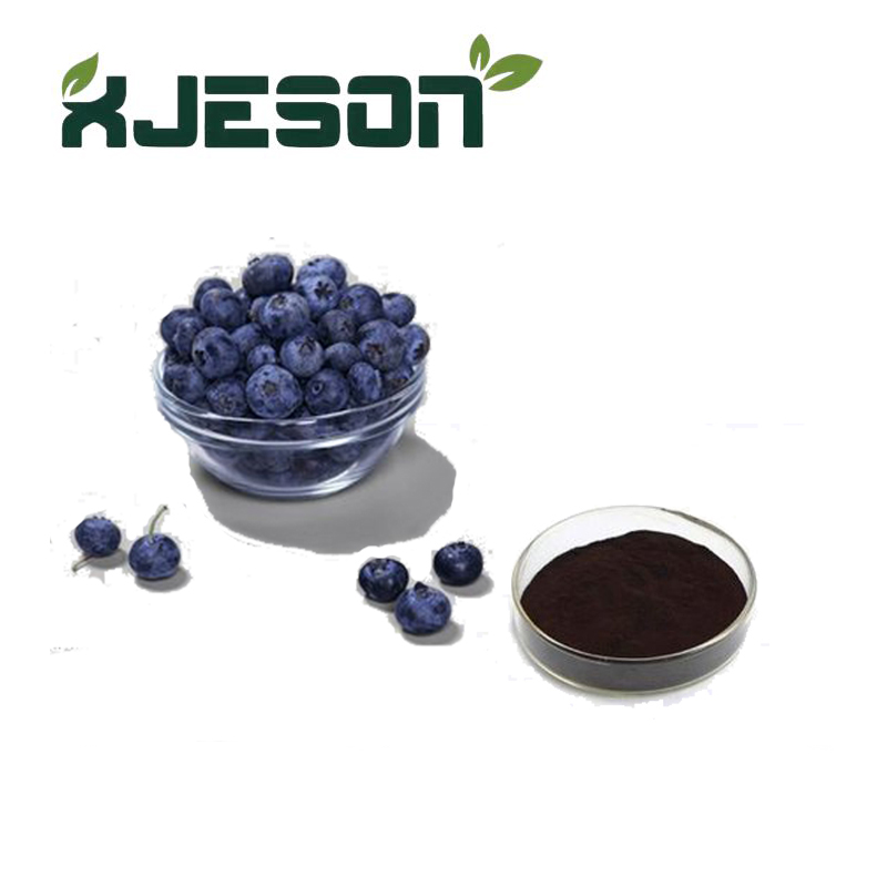 High Quality Blueberry Extract