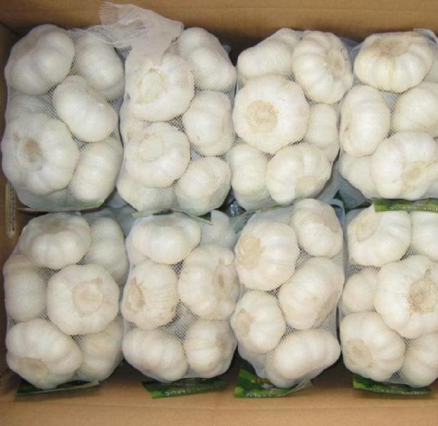 Fresh Chinese 4P Pure White Garlic In Small Mesh Bag Packing 4kg