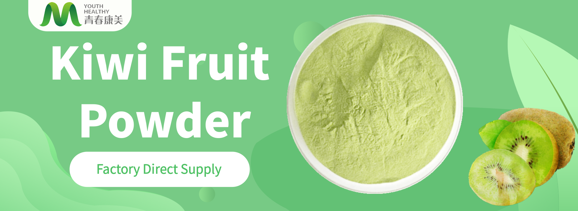 Kiwi Fruit Powder 1