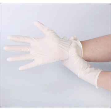 wholesale Disposable P Free Vinyl Gloves