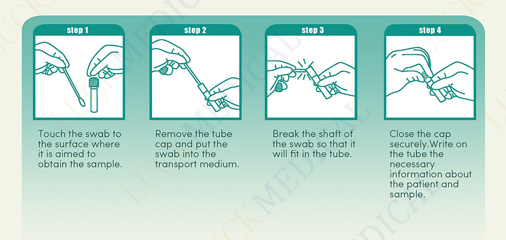 Vrial Transport tube and swab-operating steps