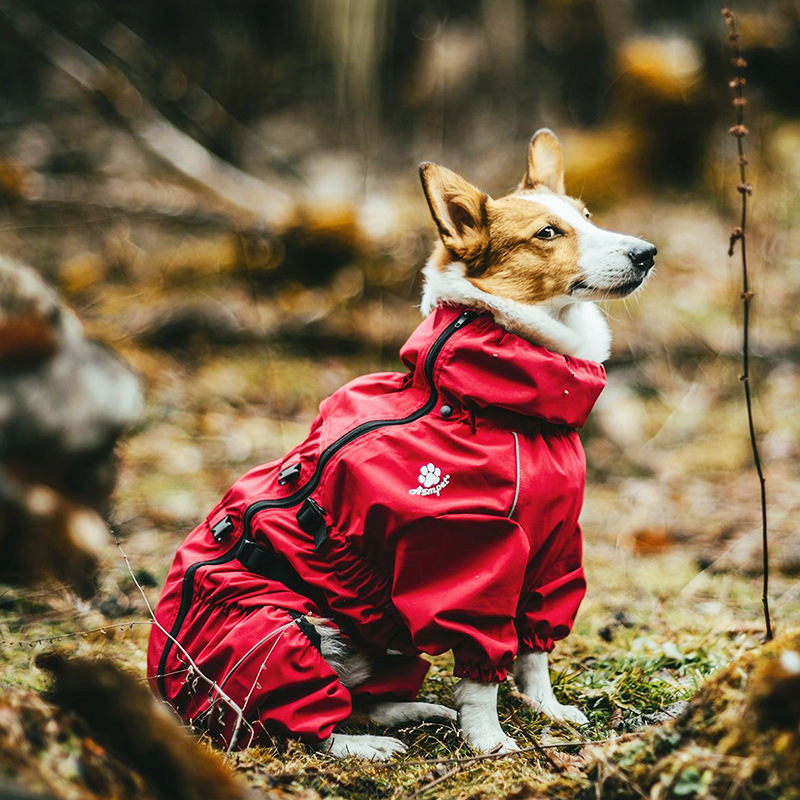 Dog Raincoat That Covers Belly