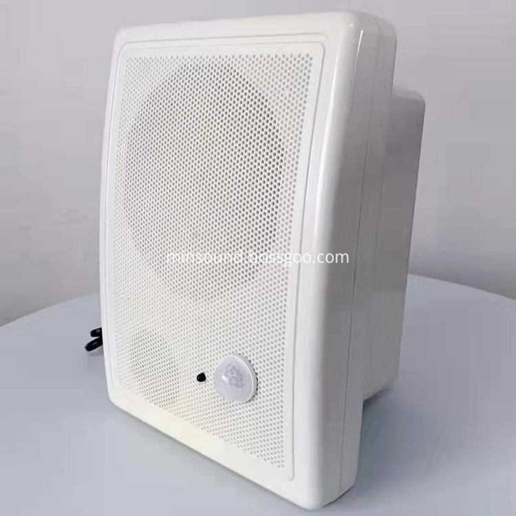 Active Wall Speaker 