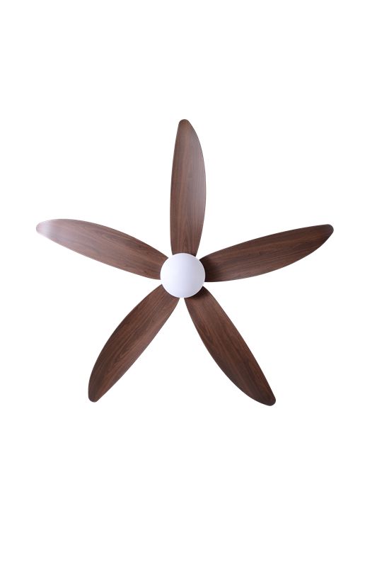 DC ceiling fan with led