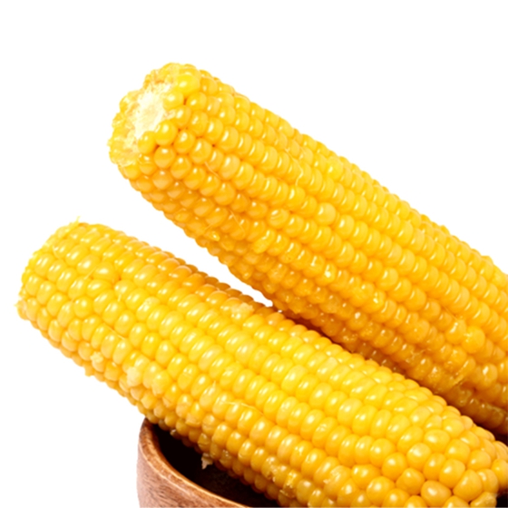 Fitness Meal Sweet Corn Cob