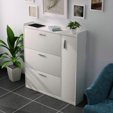 Modern shoes cabinet with door