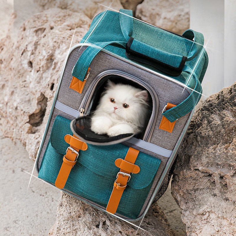 Pet Backpack For Cats