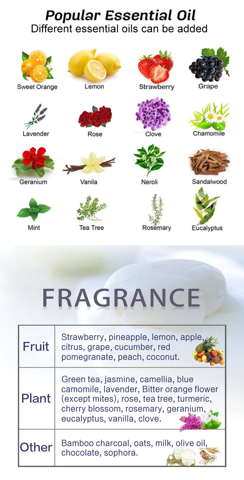 Blueberry Shower Gel Fragrance Jpg