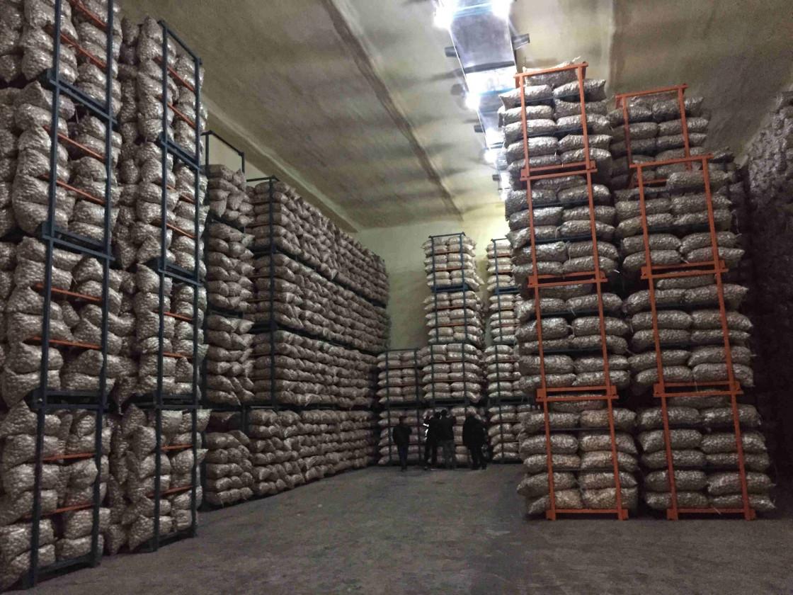 Fresh Pure White Garlic For Export Factory Cooling Storage Warehouse