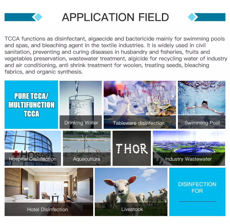 Tcca Application