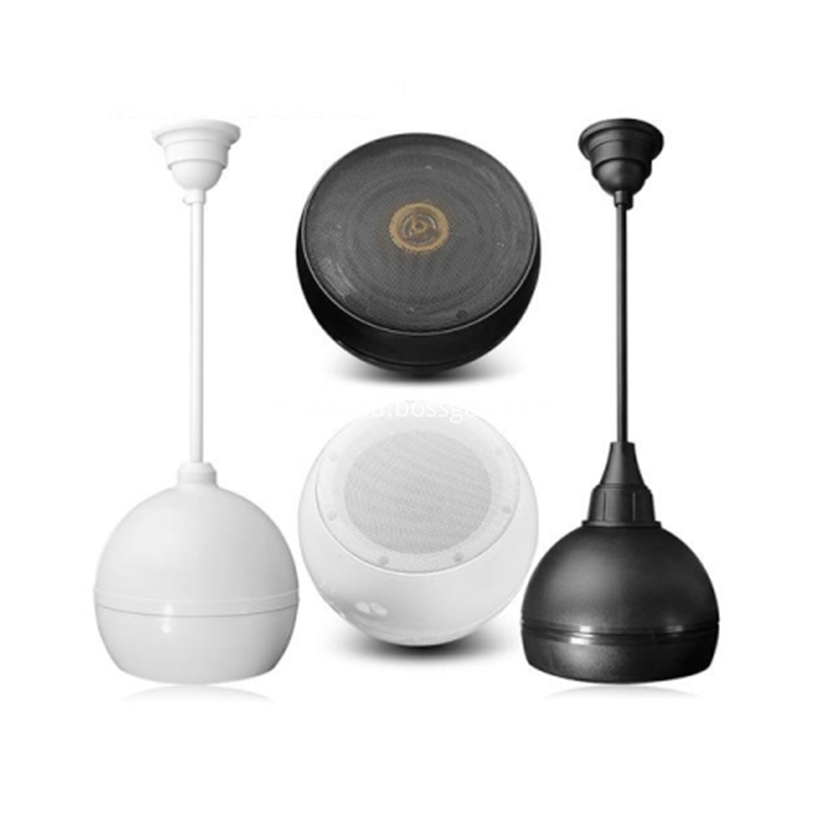 Professional Hi-Fi Pendant Ball Speaker
