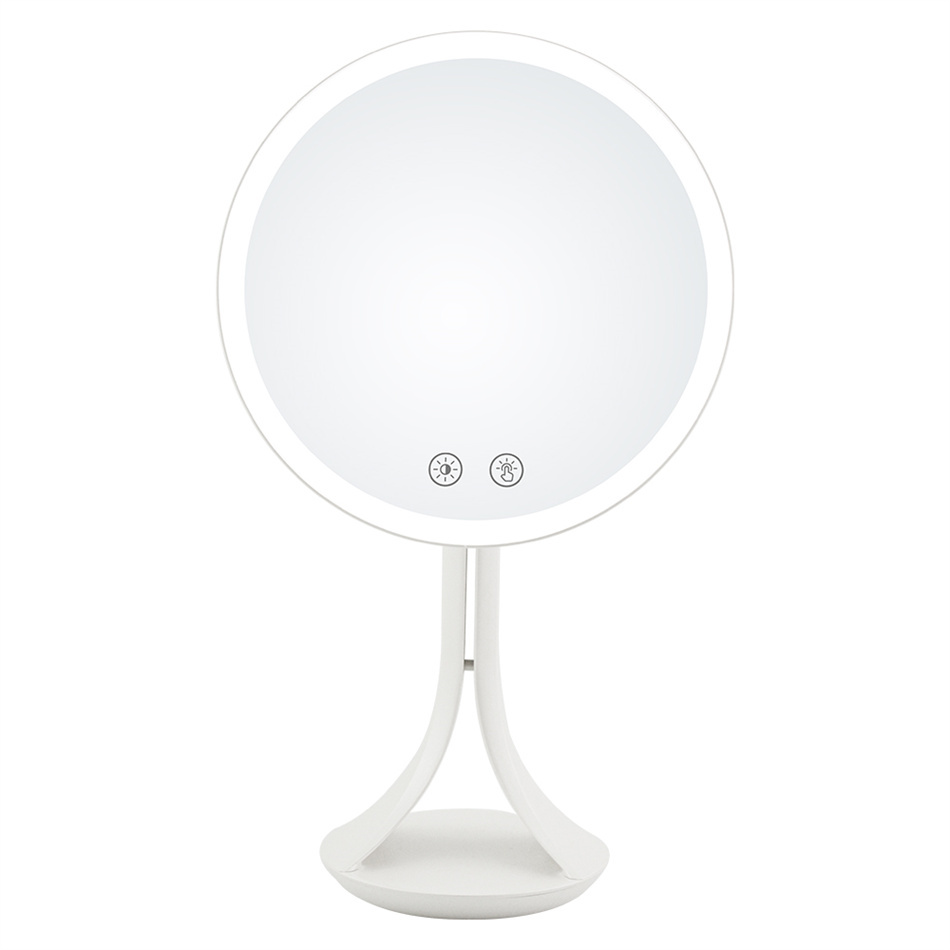 Vanity Mirror With Led Lights