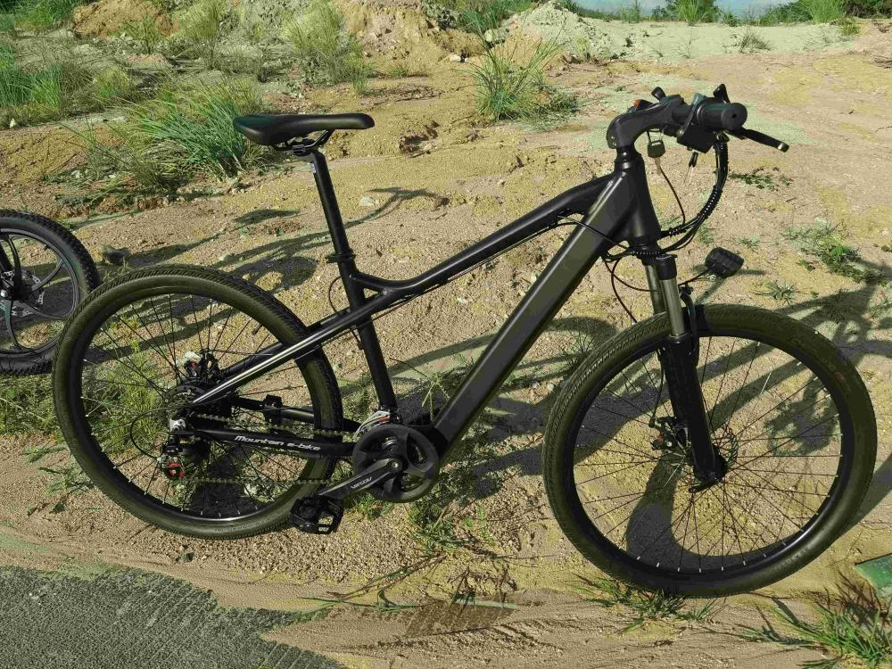 Ebike