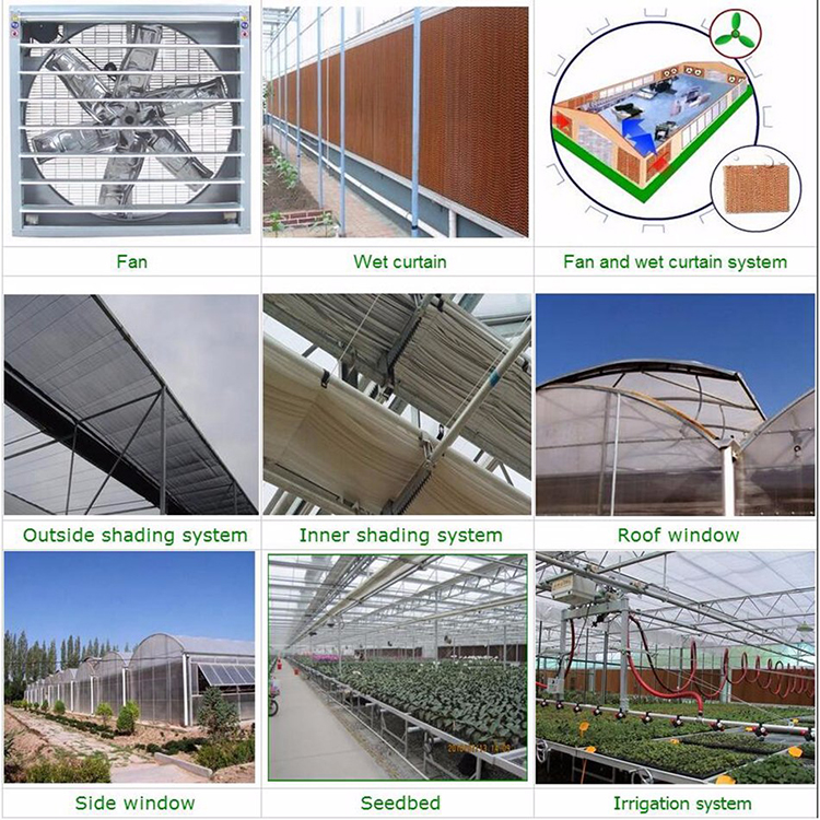 Arch type green house 