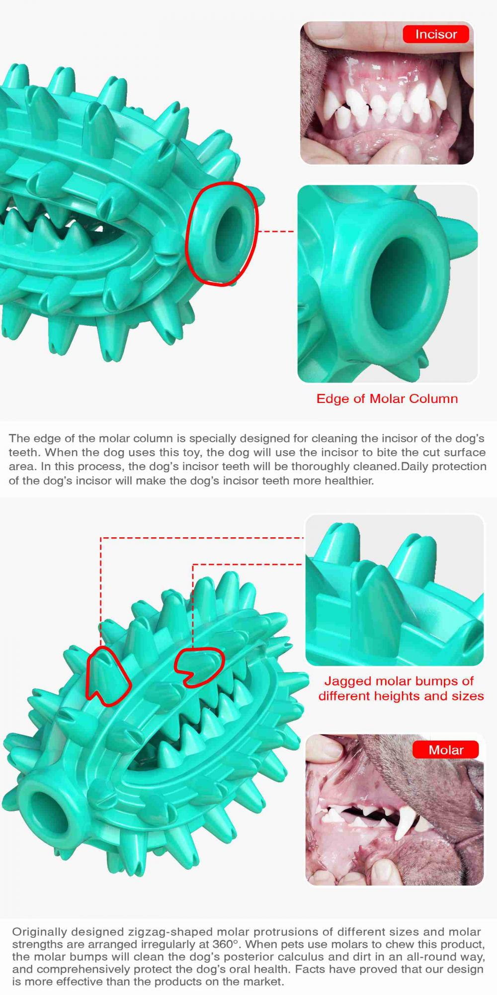 Dog Toy Indestructible