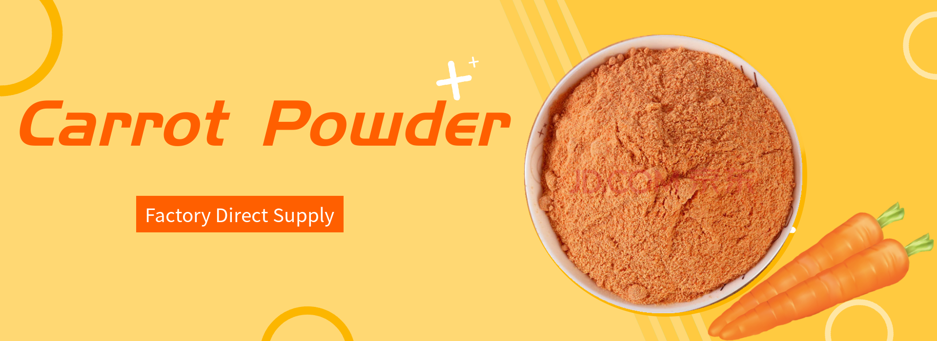 Carrot Powder1