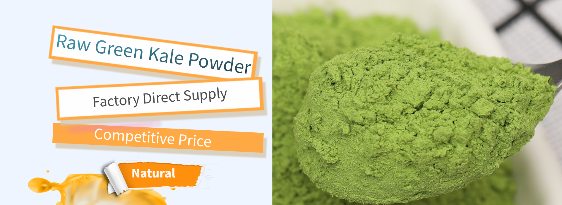 Raw Green Kale Powder Bulk