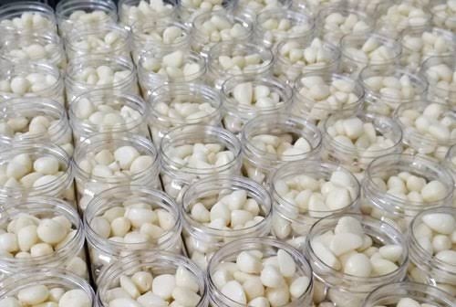 Fresh Garlic Cloves Peeled For Sale In Brine Jar Packing