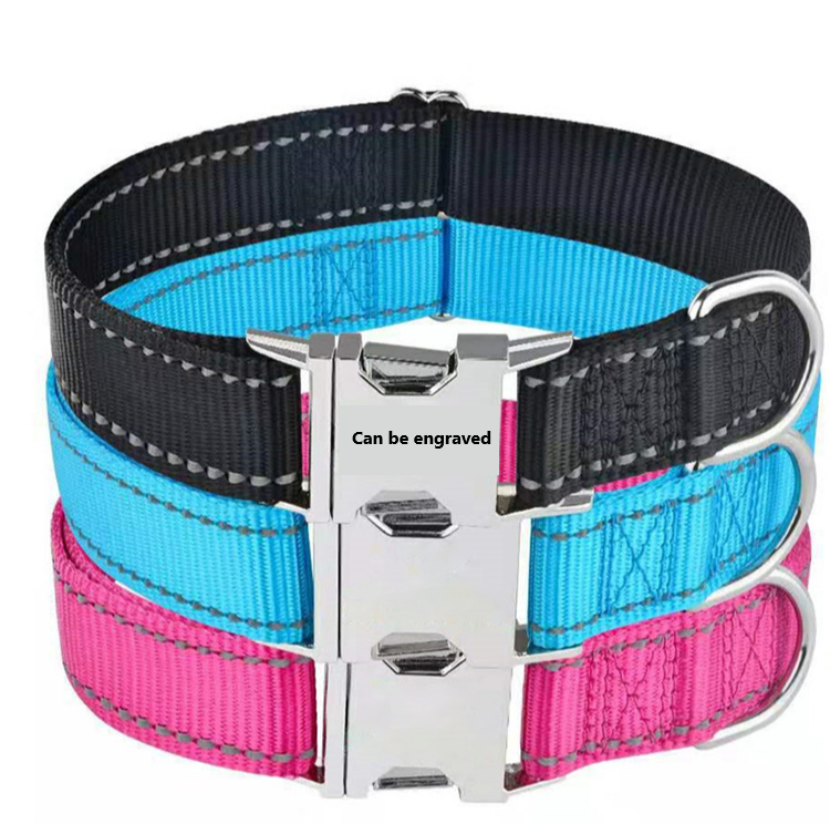 Dog Collar